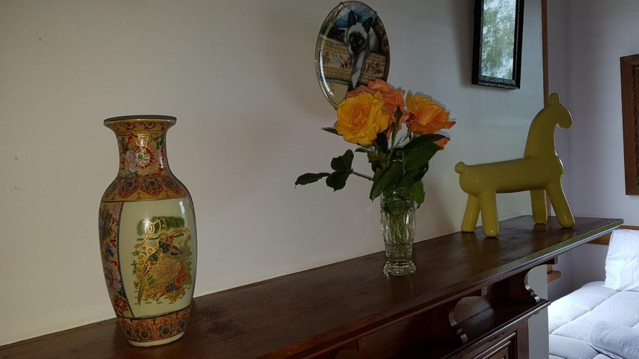 Bushy Park Historical Homestead Kai Iwi Kültér fotó